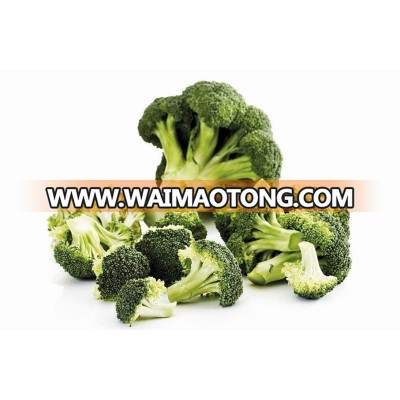 Frozen broccoli