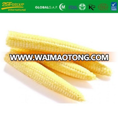Frozen cut baby corn