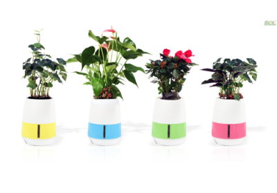 KJFMN5A MINI GARDEN SERIES