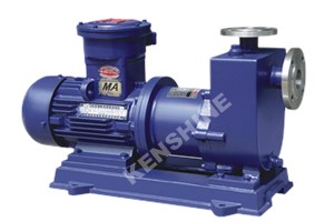 ZCQ Stainless steel self priming magnetic pump
