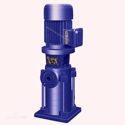 LG Vertical multistage centrifugal  water pump