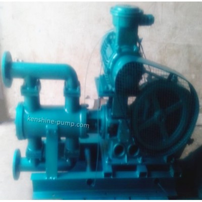 WB,WBR electric reciprocating pump