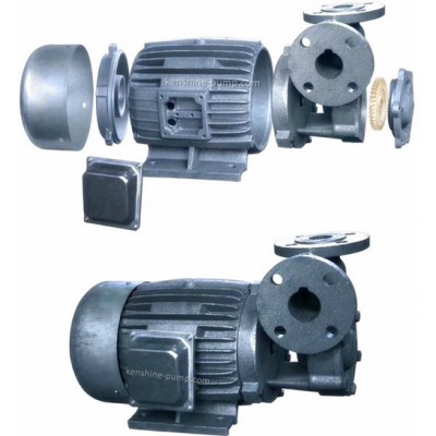 W Vortext booster water pump