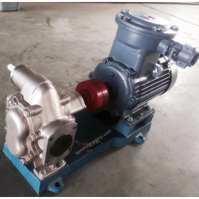 KCB Stainless steel gear oil transfer pump