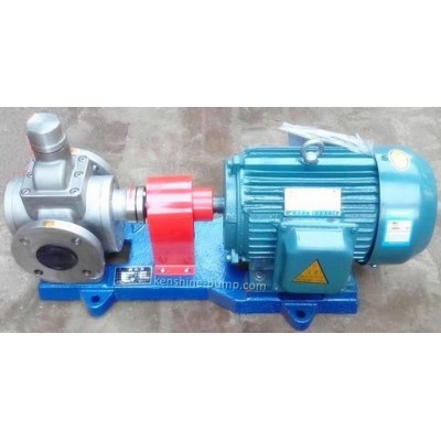 YCB Stainless steel circle arc gear oil transfer pump