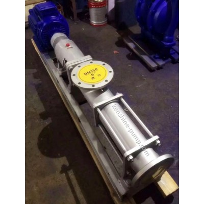 FG Stainless steel eccentric helical screw pump