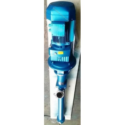LG Vertical submersible screw pump