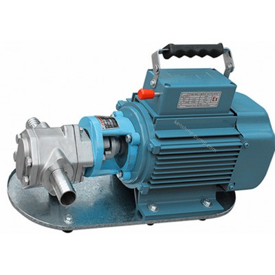 WCB Stainless steel gear oil pump